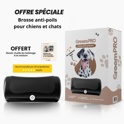 Brosse anti-poils pour chiens et chats