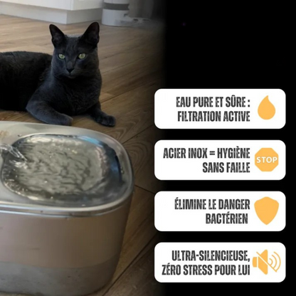 Fontaine à eau pour chats en inox
