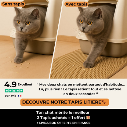 Tapis de litière pour chat double couche