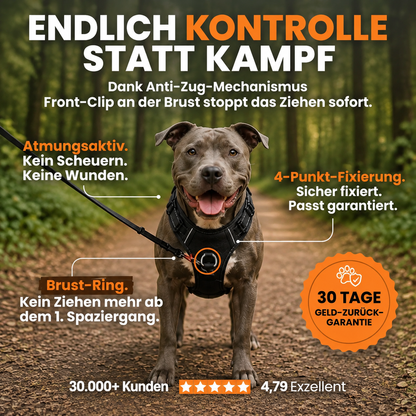 Zugschutzgeschirr für Hunde