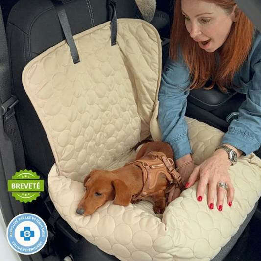 Kühlender Autositz für Hunde