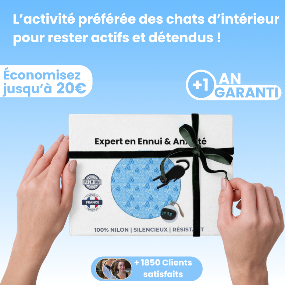 Tapis de Jeu Interactif pour Chat