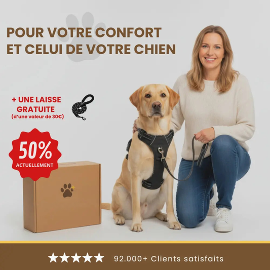 Harnais Antitraction Confort pour Chien