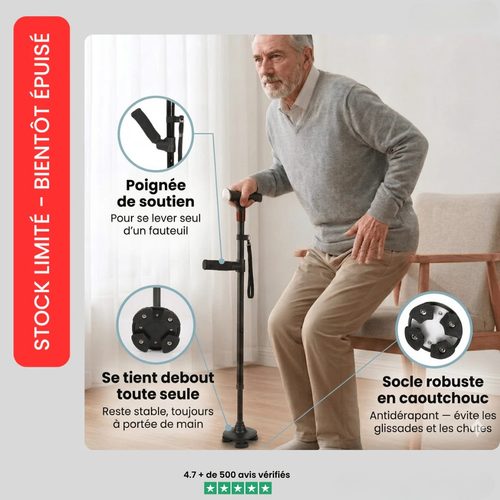 Canne de soutien pour marcher et se lever en toute sécurité