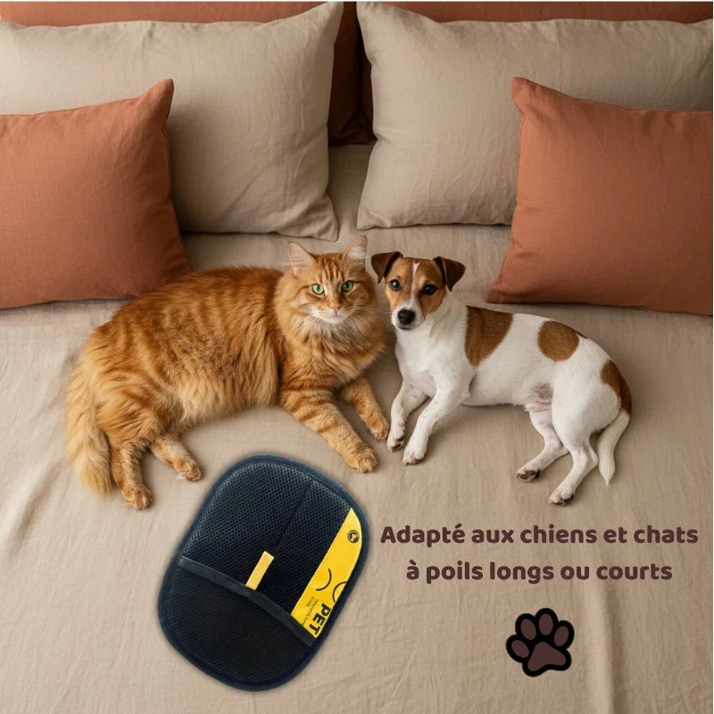Gant réutilisable pour enlever les poils d’animaux facilement
