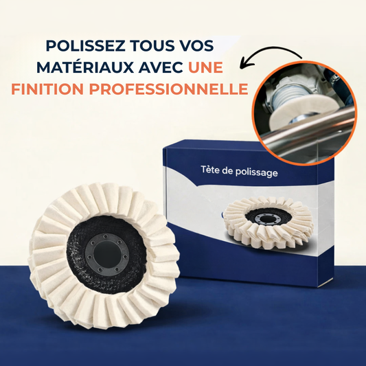 Disque de Polissage à Lamelles