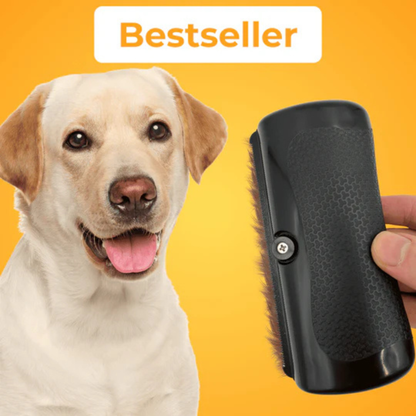 Brosse de toilettage pour chien