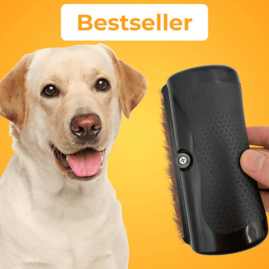 Brosse de toilettage pour chien