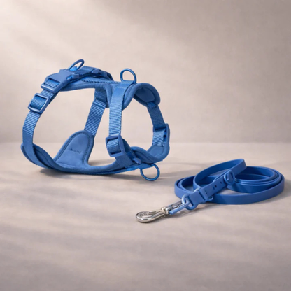 Harnais anti-traction avec laisse pour chien