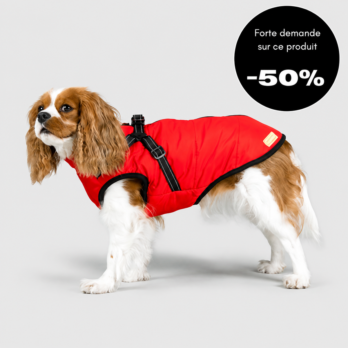 Veste d’hiver 2 en 1 pour chien