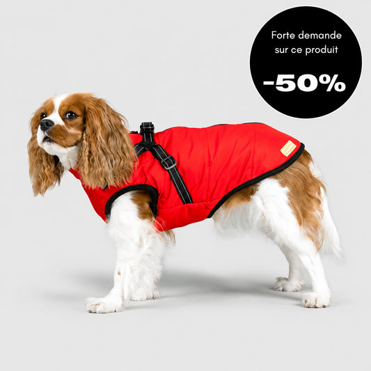 Veste d’hiver 2 en 1 pour chien