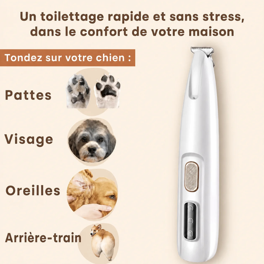 Tondeuse silencieuse pour soin des pattes
