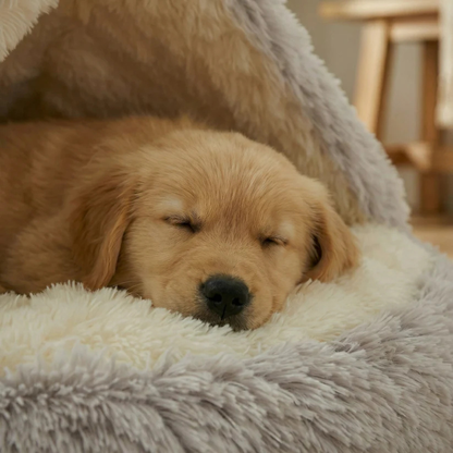 Lit Cocoon pour Chien