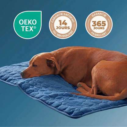 Tapis Rafraîchissant Chien Anti-Chaleur