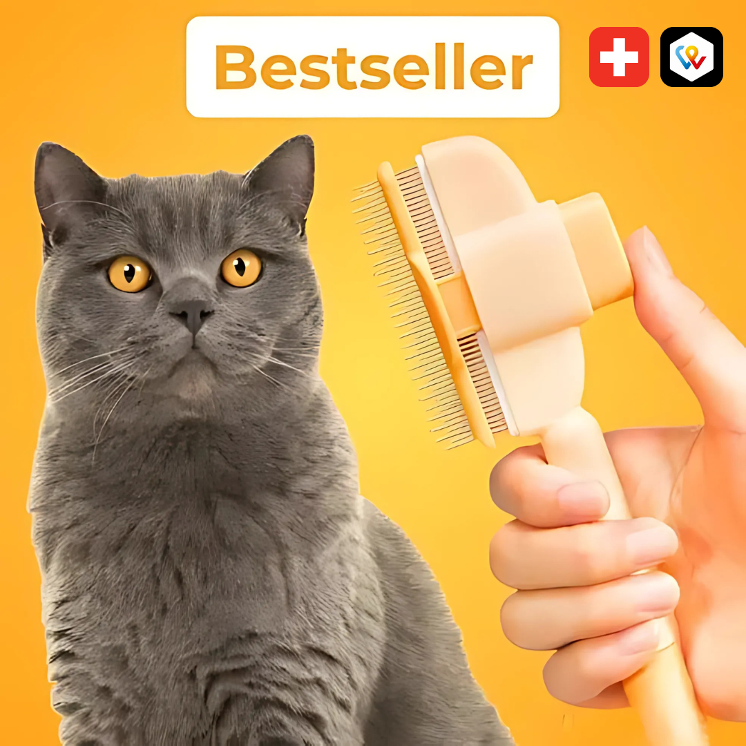 Brosse anti-poils pour animaux