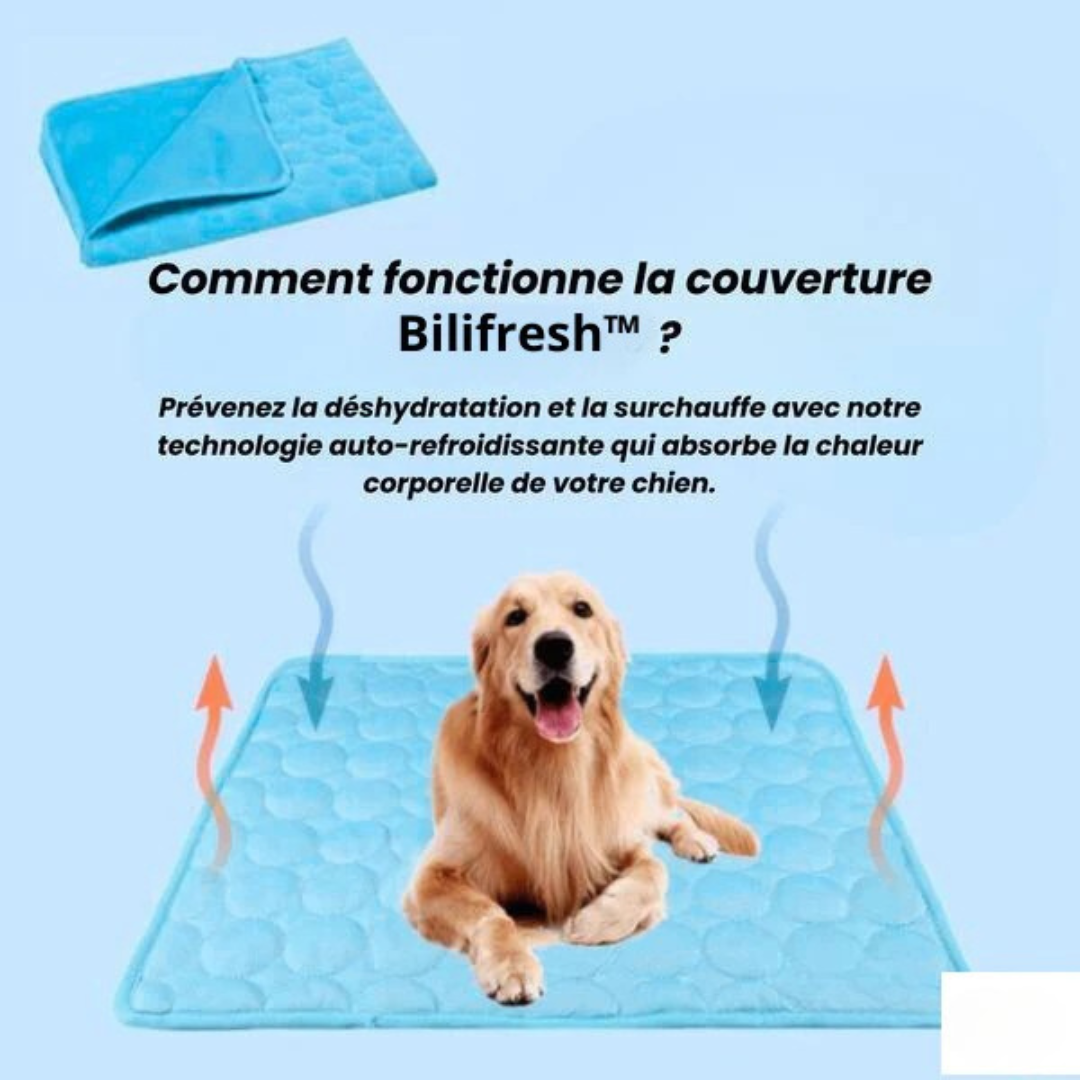 Matelas auto-refroidissant pour chien