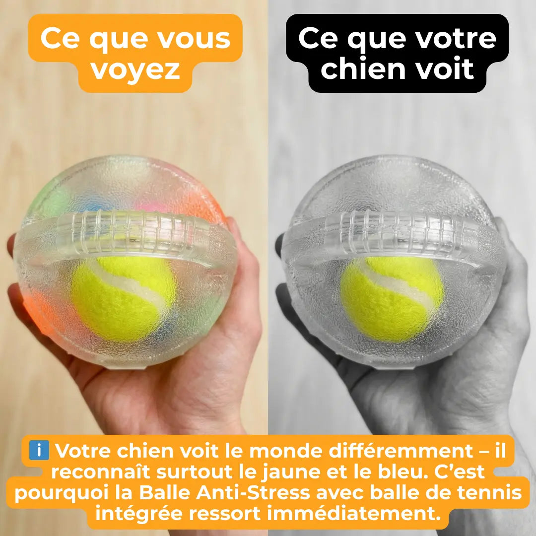 Jouet Résistant pour Chiens