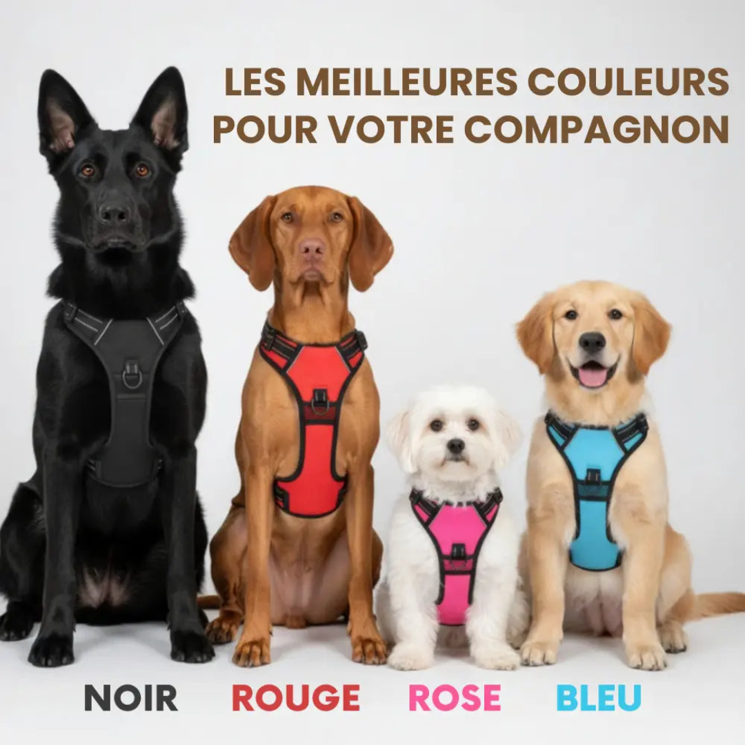 Komfortabler Anti-Zug-Gurt für Hunde