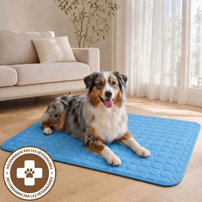 Kühlmatte für Hunde