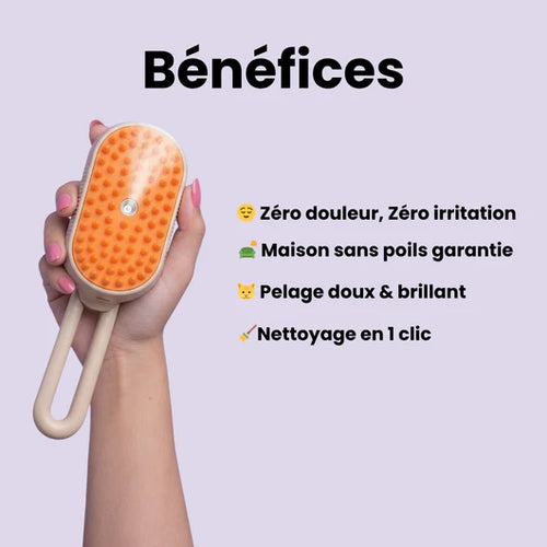 Brosse Vapeur pour Chats