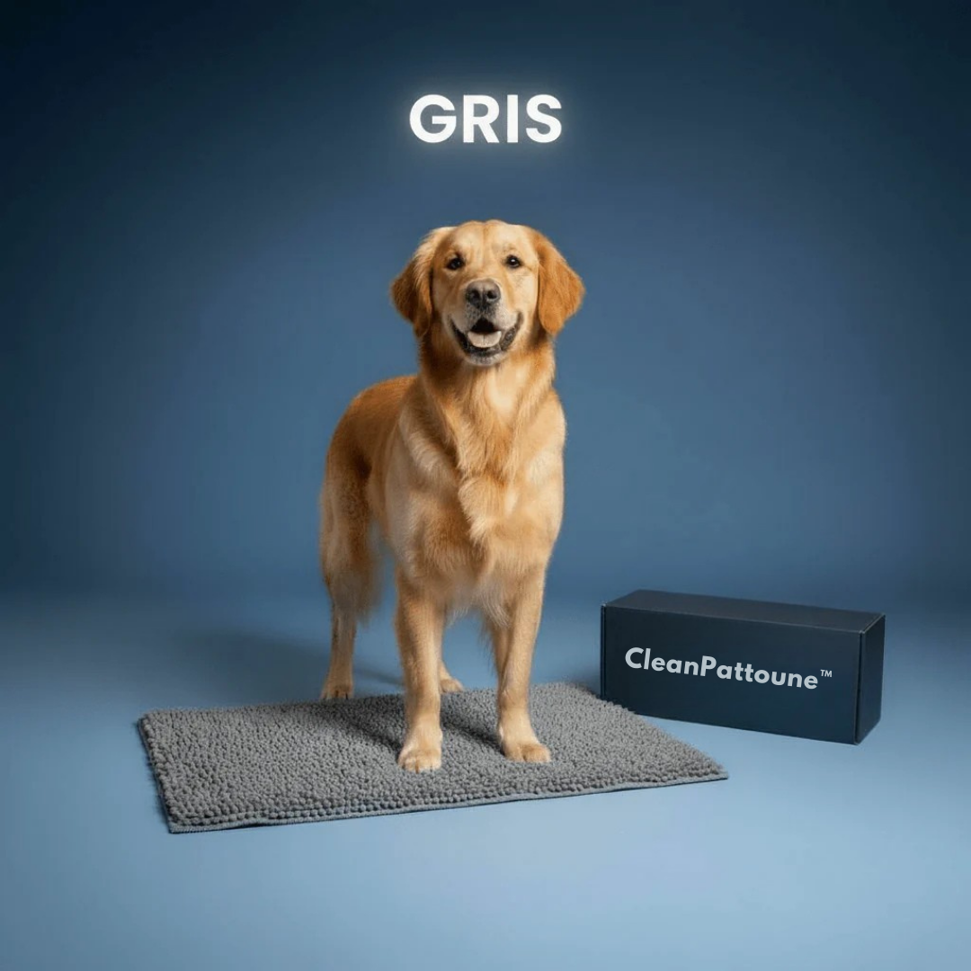 Tapis Ultra-Absorbant