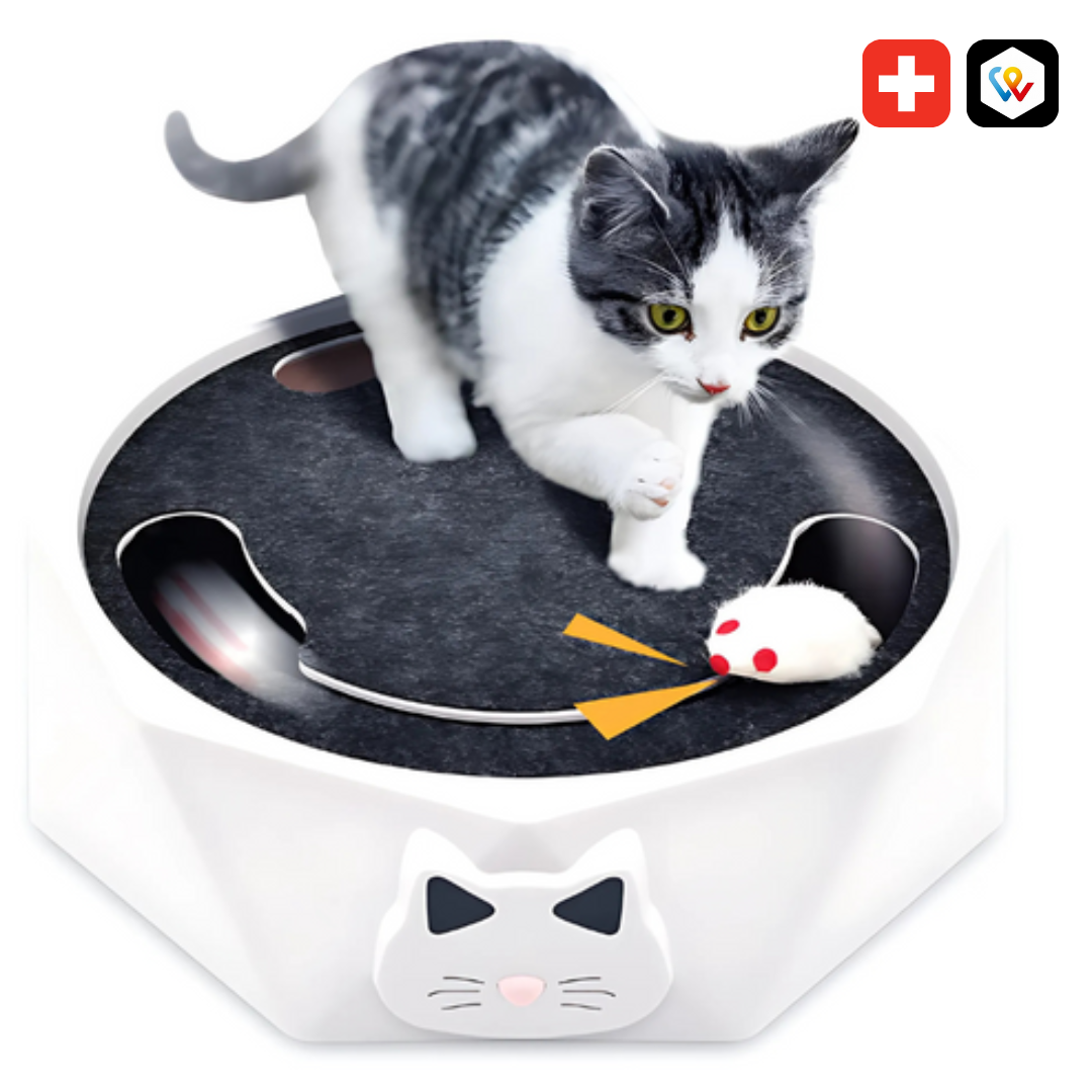 Interaktives Katzenspielzeug mit rotierender Maus