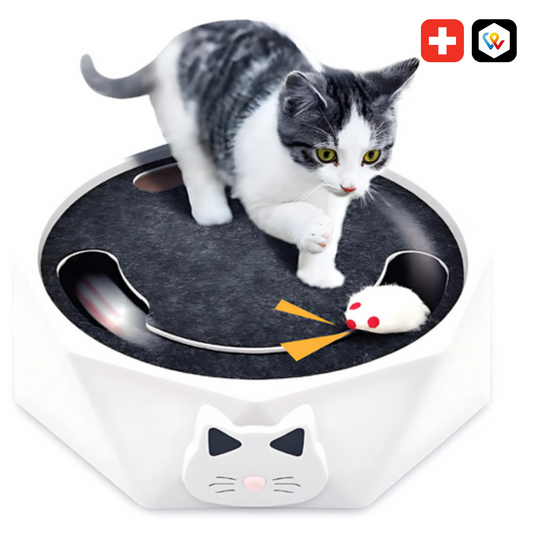 Interaktives Katzenspielzeug mit rotierender Maus
