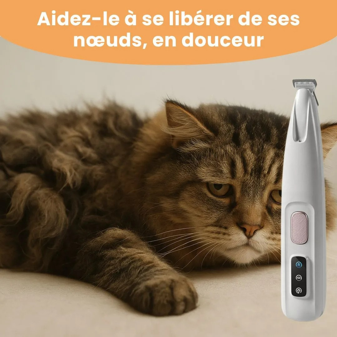 Tondeuse de précision pour chat