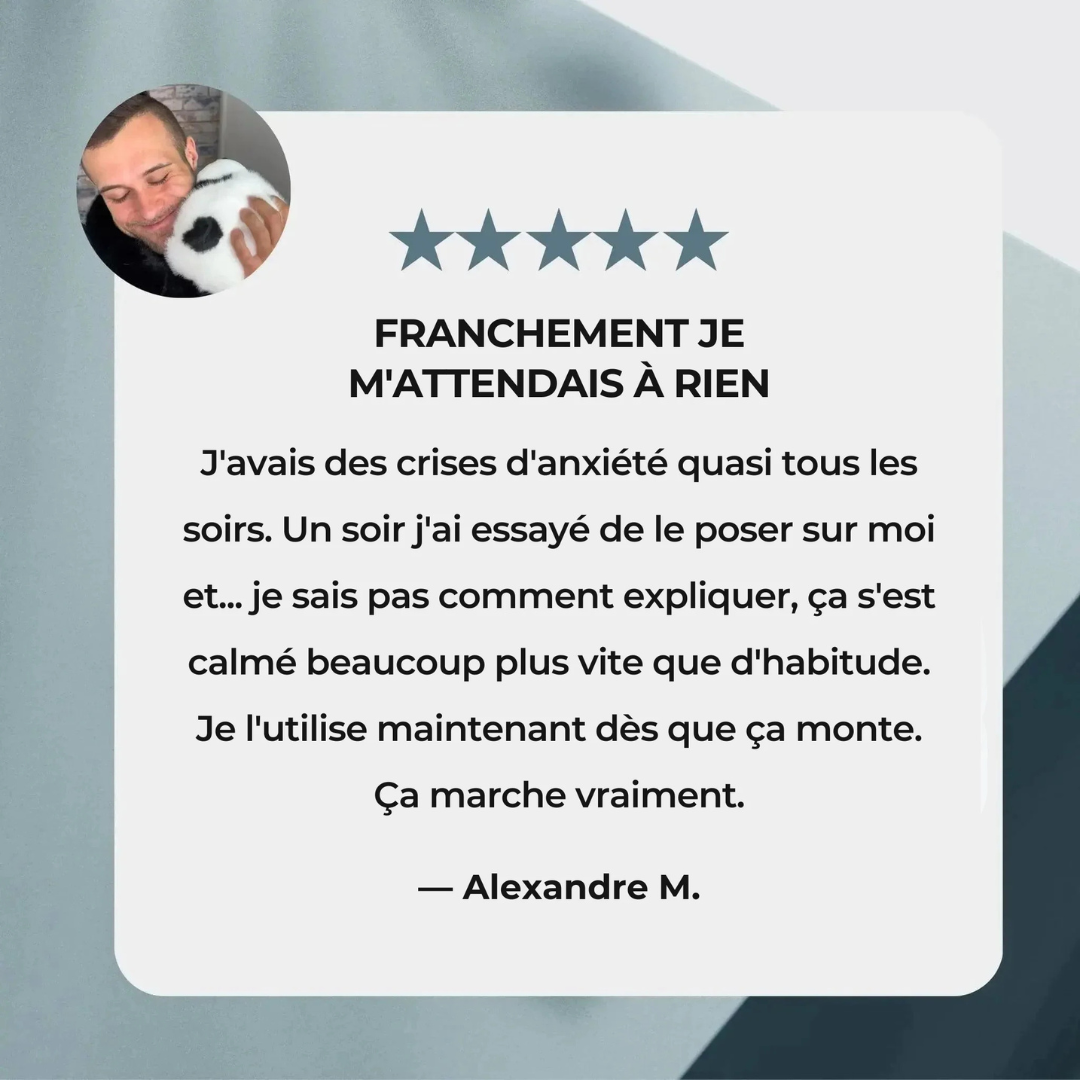 Peluche Panda Relaxante avec Bras Lestés