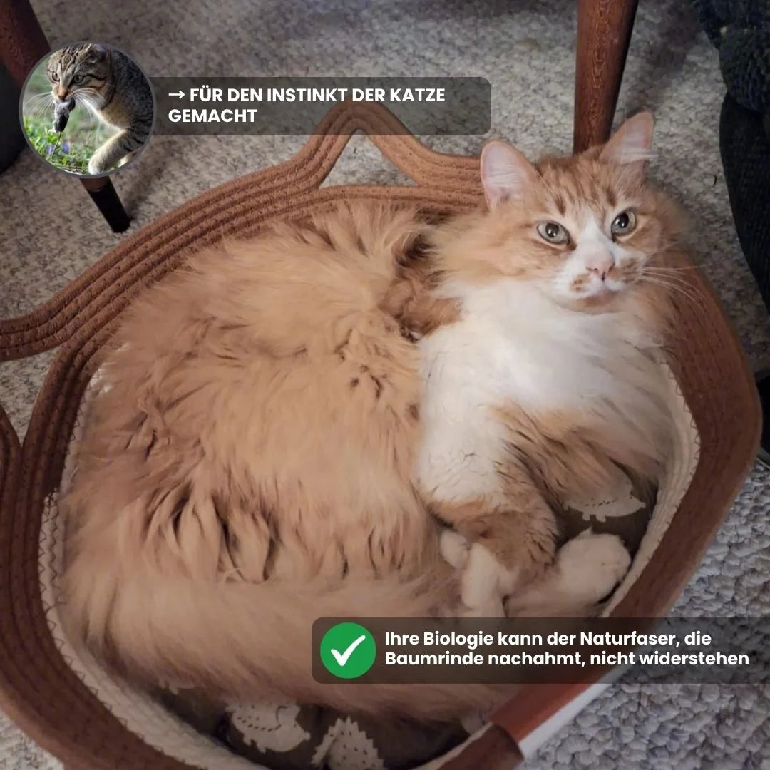 Katzenkorb aus Naturfasern