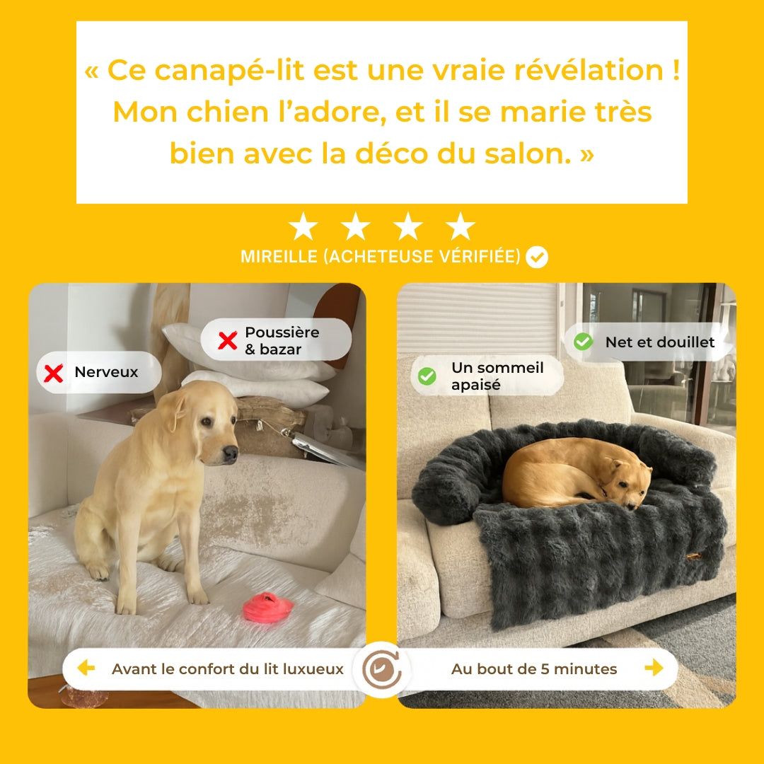 Canapé-lit doux et confortable pour chien