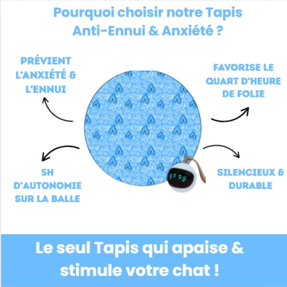 Tapis de Jeu Interactif pour Chat