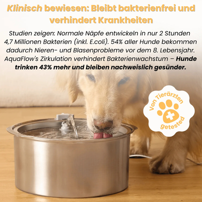 Trinkbrunnen für Hunde aus Edelstahl