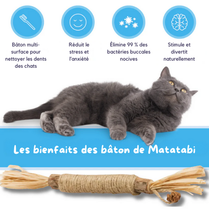 Jouet à mâcher pour chats en bâton de matatabi naturel