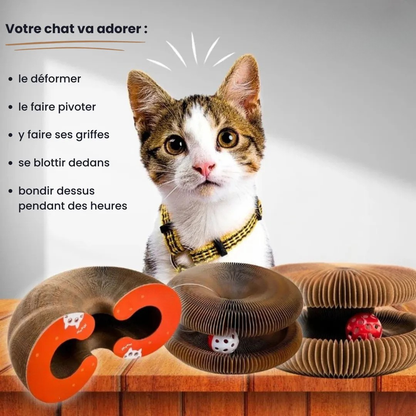Griffoir interactif pour chat