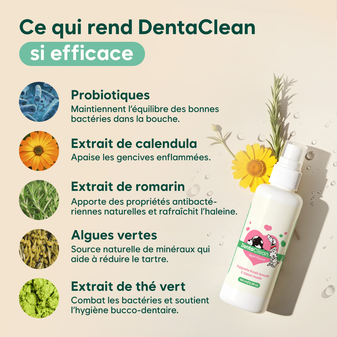 Natürliches Zahnspray gegen Zahnstein für Hunde und Katzen