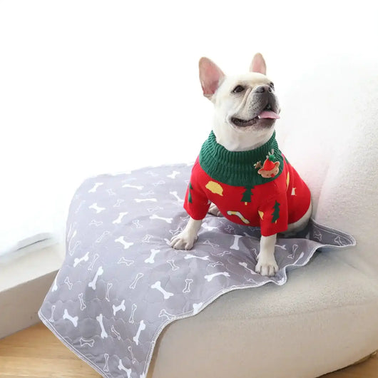 Wiederverwendbare saugfähige Matte für Hunde