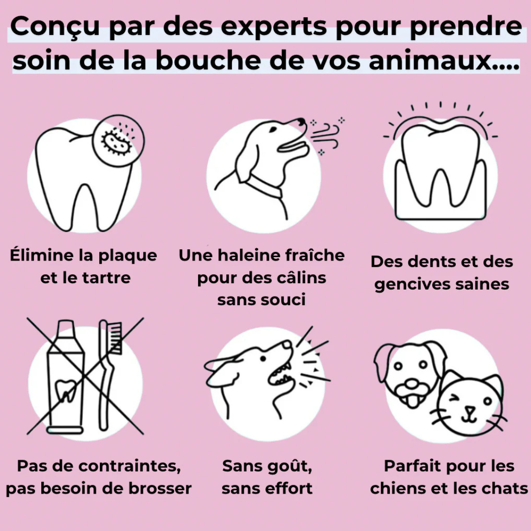 Spray dentaire naturel pour chien – Anti-tartre & haleine fraîche