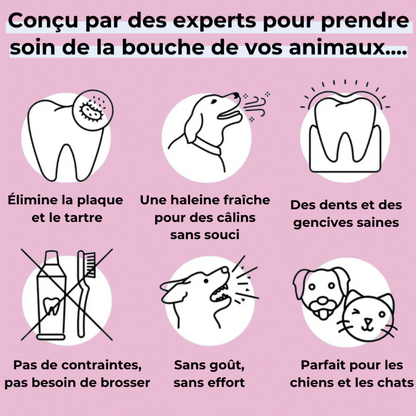 Spray dentaire naturel pour chien – Anti-tartre & haleine fraîche