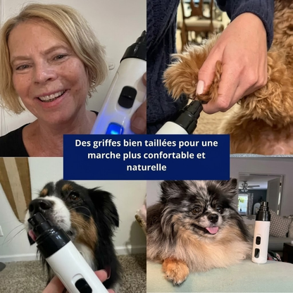 Leise elektrische Krallenfeile für Hunde und Katzen