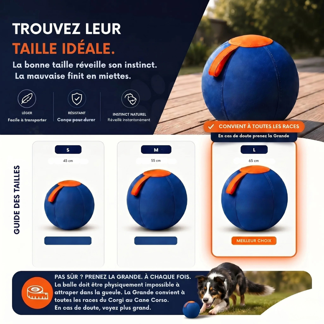 Balle interactive pour chien résistante
