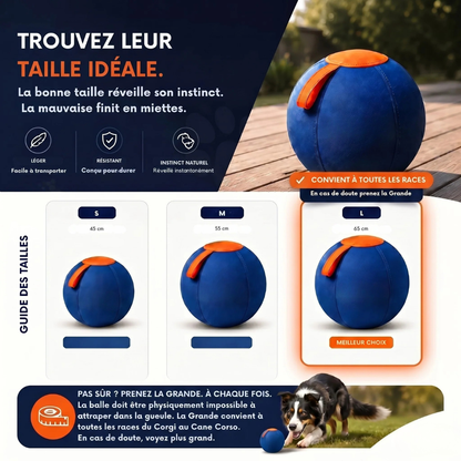 Balle interactive pour chien résistante