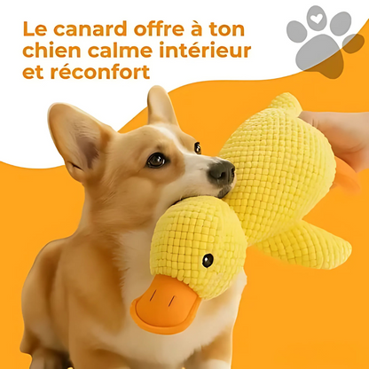 Jouet en peluche apaisant pour chien