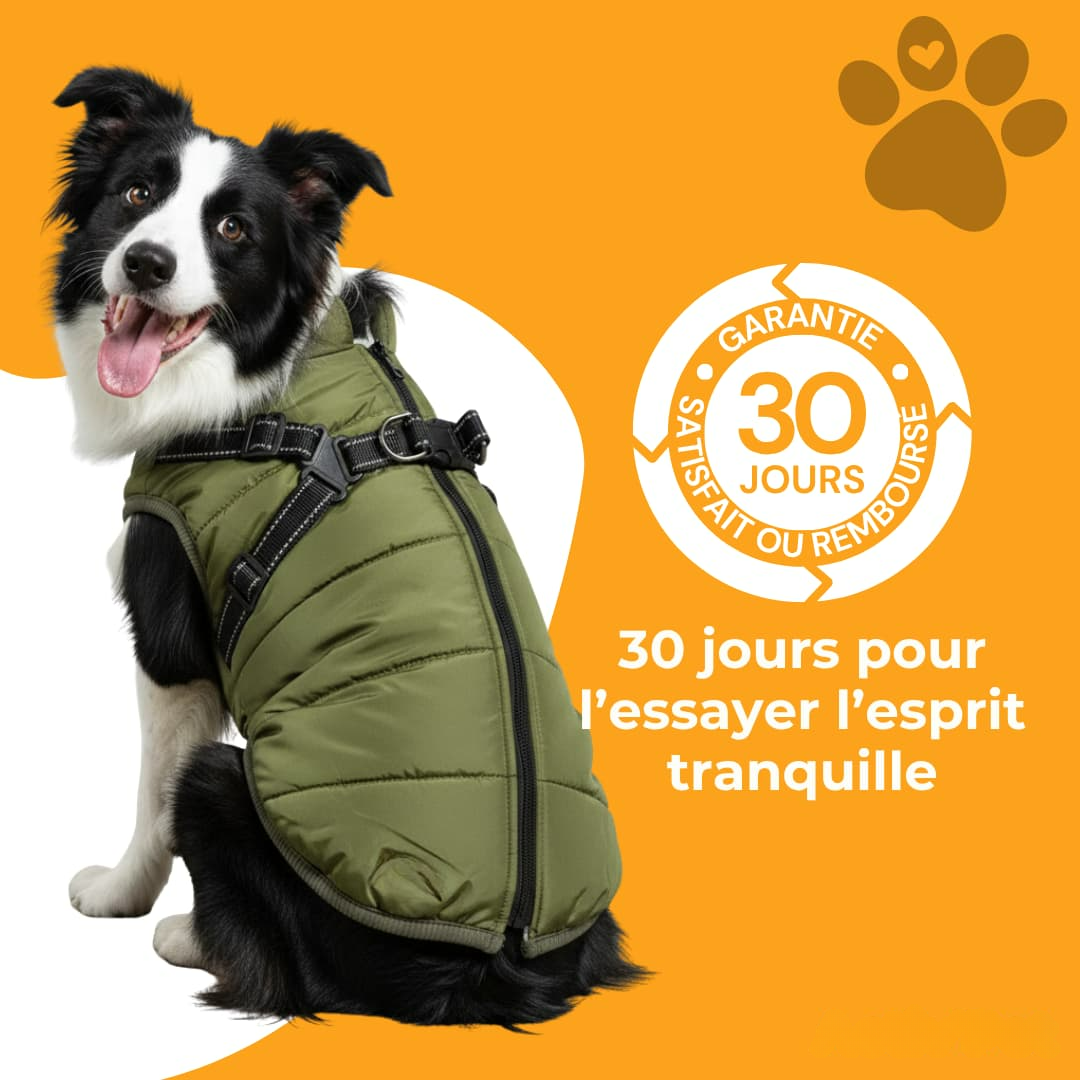 Wasserdichter Hundemantel mit integriertem Geschirr