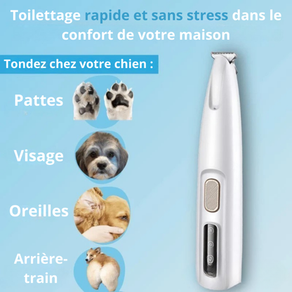 Tondeuse silencieuse pour soin des pattes