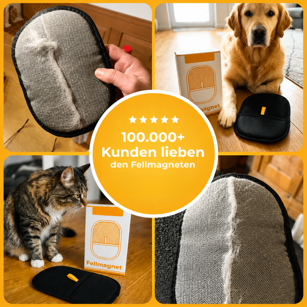 Brosse magnétique anti-poils pour animaux