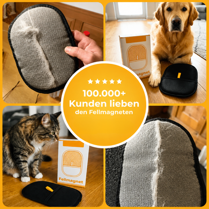Brosse magnétique anti-poils pour animaux