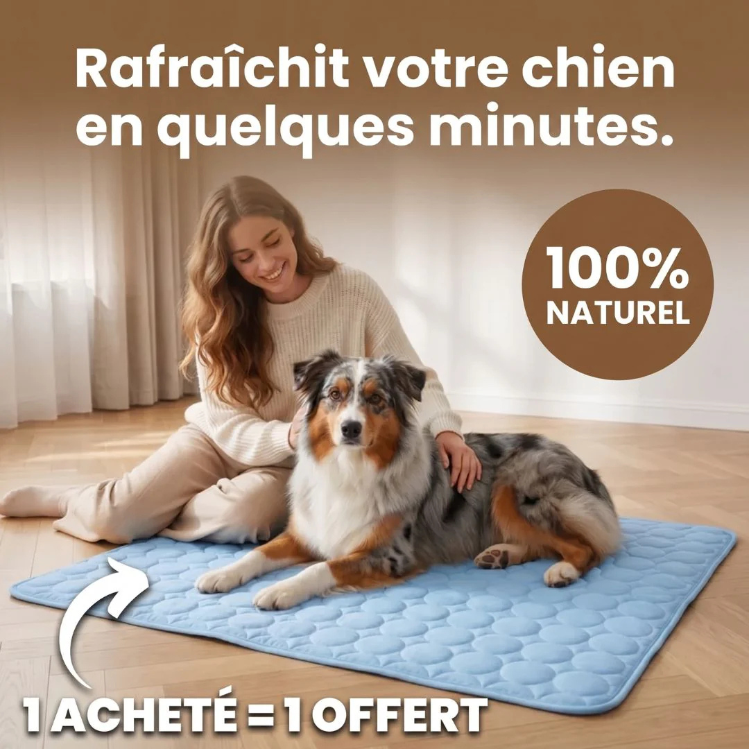 Kühlmatte für Hunde