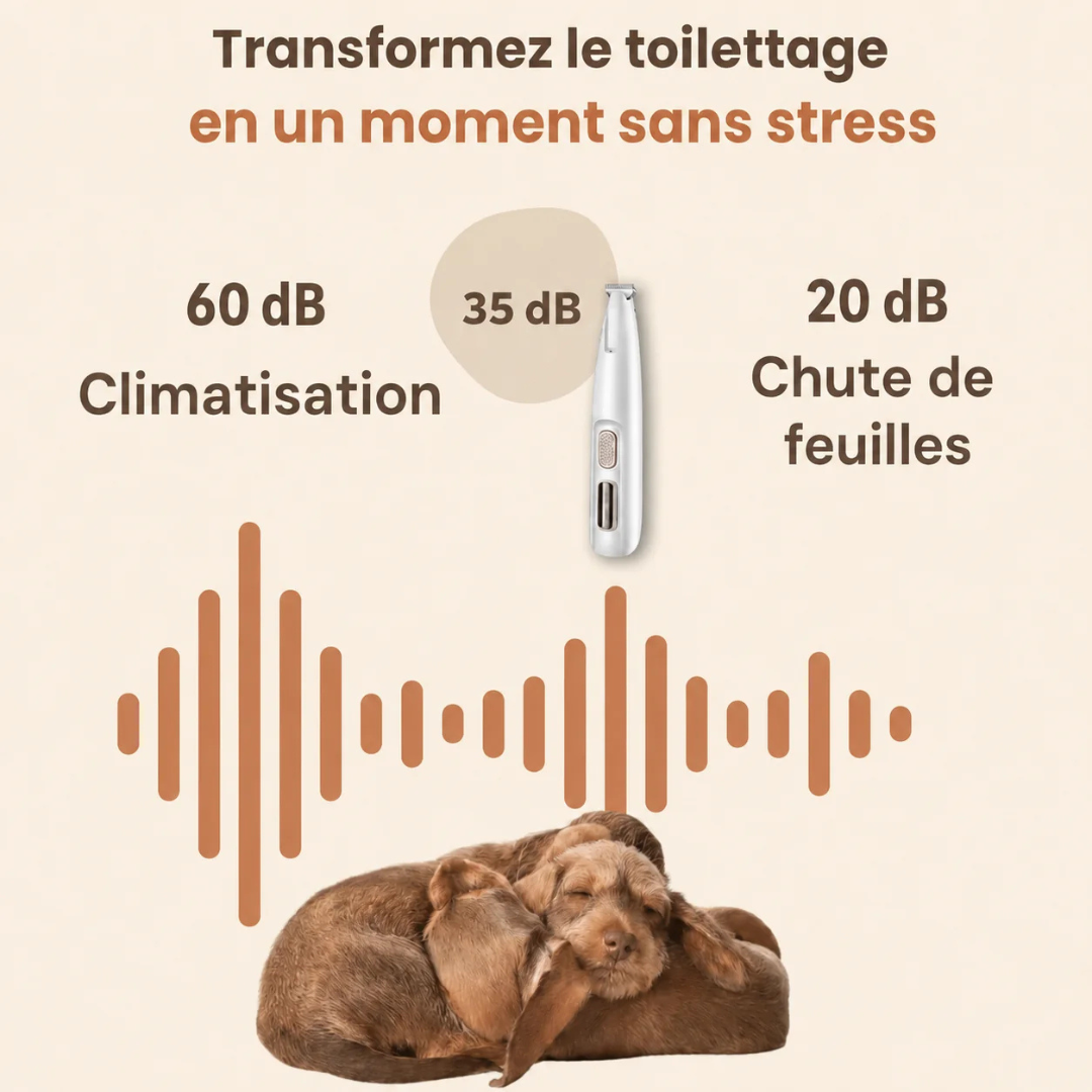 Tondeuse silencieuse pour soin des pattes