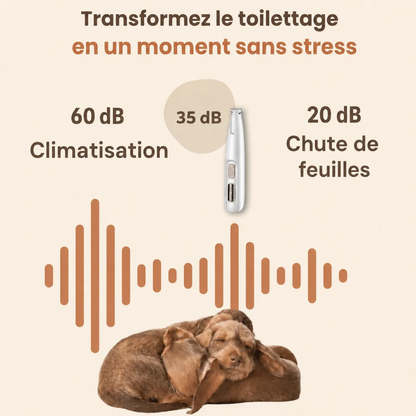 Tondeuse silencieuse pour soin des pattes